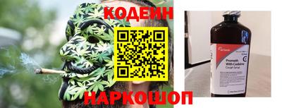 крисы Кингисепп