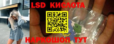 крисы Кингисепп