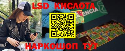 крисы Кингисепп