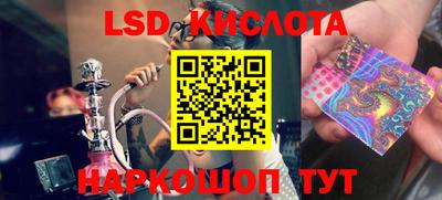 крисы Кингисепп