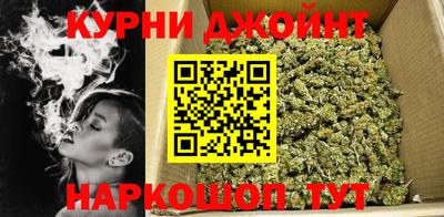 крисы Кингисепп