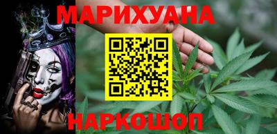 крисы Кингисепп