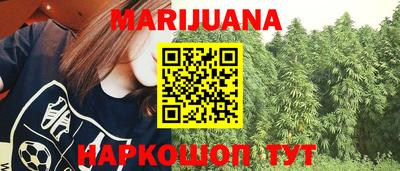 крисы Кингисепп