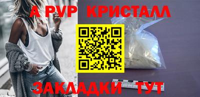крисы Кингисепп