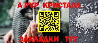 крисы Кингисепп