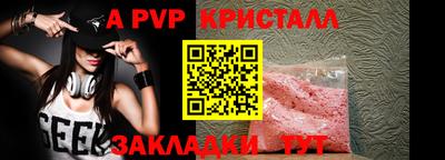 крисы Кингисепп