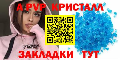 крисы Кингисепп