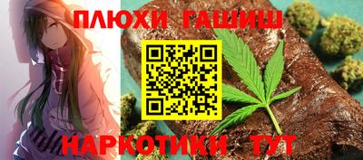 крисы Кингисепп