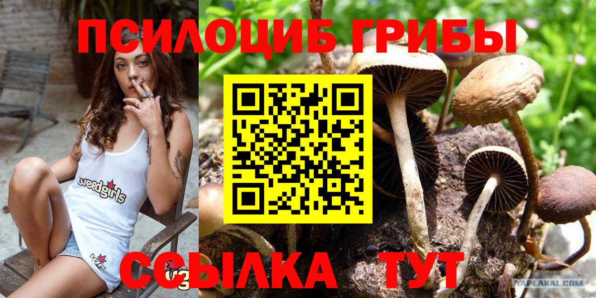 Галлюциногенные грибы мицелий  Псилоцибиновые грибы Cubensis  Кинель  Вход с VPN 